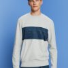 Men Esprit | Fleece Sweatshirt Met Mesh Logo